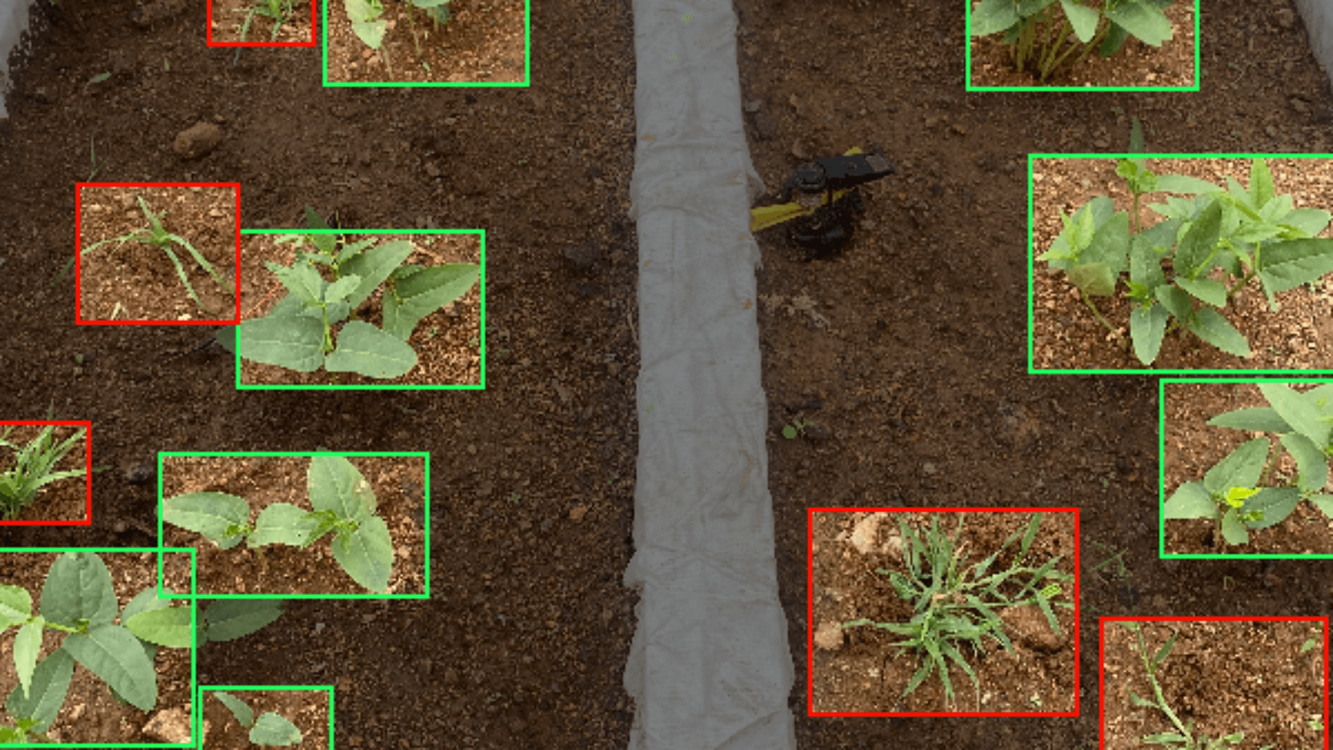 GanSystem Weed Detection